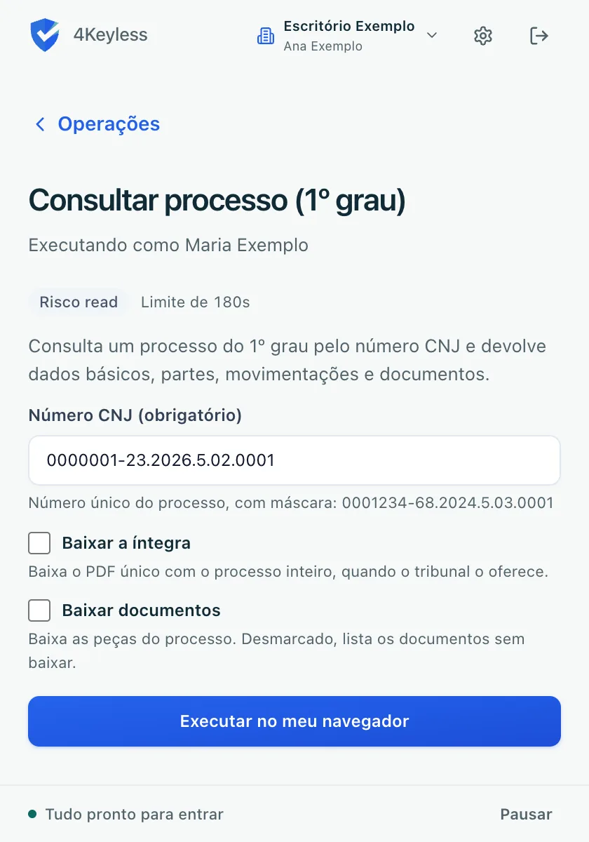 formulário de uma operação com o selo de risco, o limite de tempo, um campo obrigatório preenchido com dado fictício e o botão Executar no meu navegador